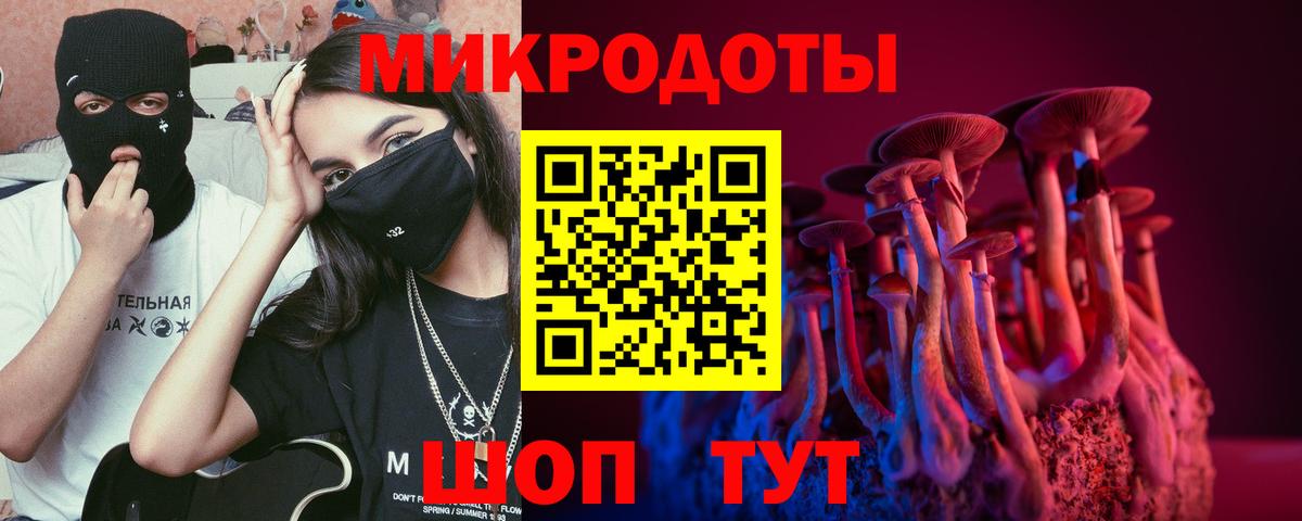 где купить наркоту  Вход с VPN  Ирбит  Псилоцибиновые грибы Psilocybine cubensis 